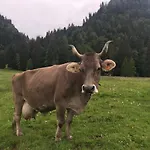 Kleine Am Rande Der Wildnis * Sibratsgfäll