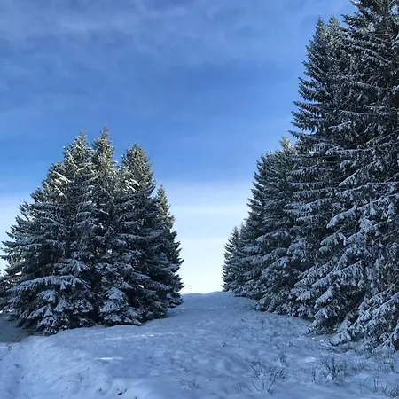 Kleine Am Rande Der Wildnis *