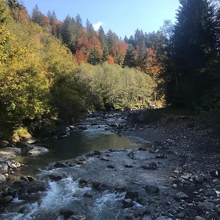 Kleine Am Rande Der Wildnis Appartement Sibratsgfäll