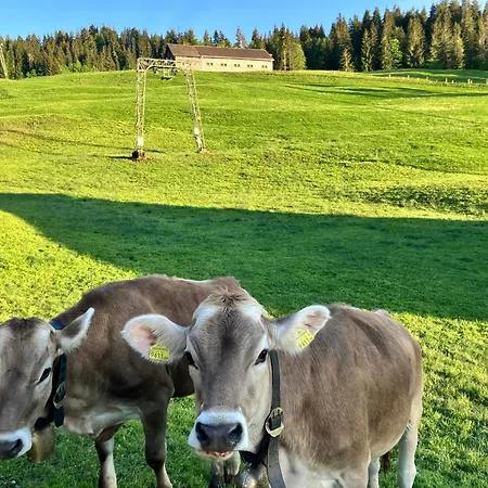 Kleine Am Rande Der Wildnis Sibratsgfäll