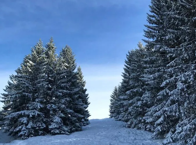 Kleine Am Rande Der Wildnis *