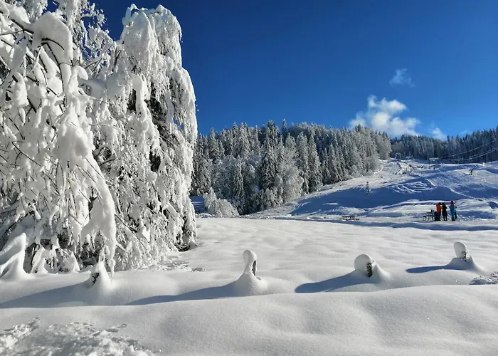 Kleine Am Rande Der Wildnis